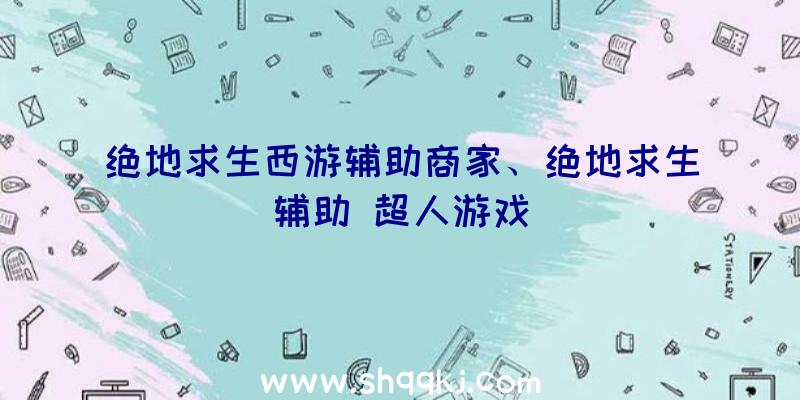 绝地求生西游辅助商家、绝地求生辅助